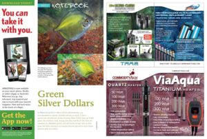 More treasures await in our Aquatic Notebook, such as"Green Silver Dollars," by Hans-Georg Evers.