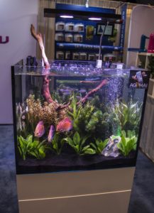This vibrant planted discus display at the Hydor booth features their new Aqamai controllable LED