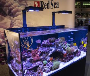 An immaculate display tank from Red Sea showcasing their Reefer line of high end all-in-one systems