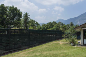 Situated in the tropical highlands of Sri Lanka's Hill Country, the ornamental fish breeding and training center at Rambadagalla is an expansive complex