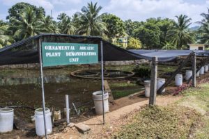 One of the larger shadehouses where growers can experiment with aquatic plant production