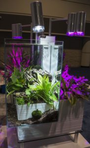 Aquaponics continues to make its crossover into the aquarium hobby, and the new Brio kit seems to a functional and stylish entry-level setup