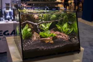 Another new product for Lifefard, the Full View aquarium kit. From the looks of things at this show, sloped is the new curved for glass aquariums