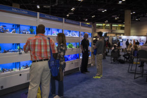 The scene from Global Pet Expo's Aquatic Lounge, where live fish vendors display their best livestock.