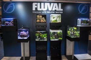 A great looking nano aquarium display from Fluval Aquatics, highlighting their new Flex line and a taller, 16-gallon Evo