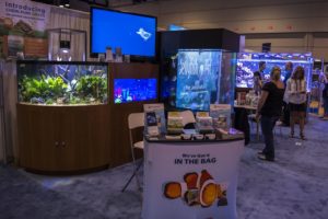 Boyd Enterprises (Chemipure) and Reef Aquaria Design always go all-out for one of the most impressive displays at the show.