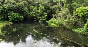 A beautiful smaller stream is almost the right spot, but they press on.