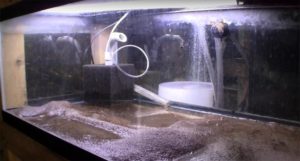 (Ted's blank canvas for his biotope-inspired aquascape)