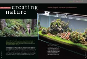 The new aquascaping series from AMAZONAS Magazine starts in the May/June 2017 issue.