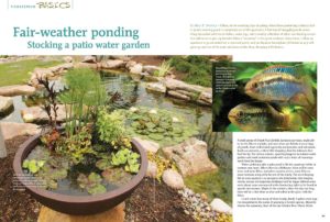 Fair Weather Ponding by Mary Sweeney, as originally published in AMAZONAS magazine.