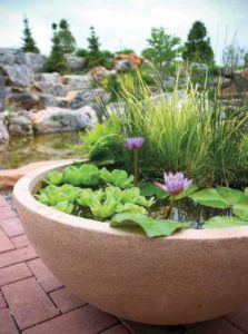 Floating plants and water lily pads provide shade during the heat of the day and also discourage fishes from jumping during spawning frenzies. Image by Aquascape Inc., www.aquascapeinc.com