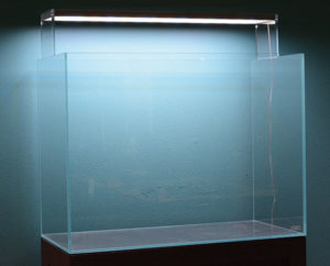 An empty aquarium is a vessel with endless creative potential.