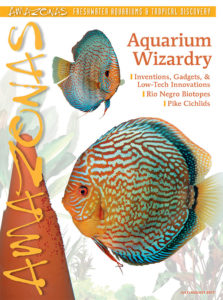 A cornucopia of wisdom is headed your way: cover of AMAZONAS Magazine, Volume 6, Number 4, Aquarium Wizardry! On the cover: Discus pair, Symphysodon aequifasciatus, with clay spawning cone. Image by Hans-Georg Evers