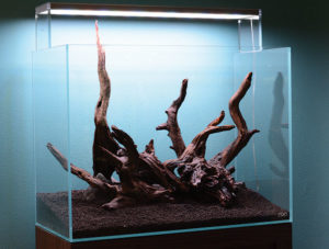 The final version of the wood hardscape is installed over a soil substrate and shimmed into place with stones; the tank is nearly ready for planting.