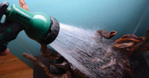 Gently filling the aquarium using the shower setting on a garden hose nozzle disperses the energy of the incoming water, keeping the hardscape from shifting and the substrate line intact.