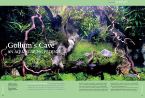 "Aquascaping does not always have to be constructed using only natural materials. With a bit of craftsmanship, you can make use of artificial materials to create a realistic element that makes a nice centerpiece in the finished tank." Learn more in the feature article "Gollum’s Cave: an aquascaping project," by Johnny Jensen.