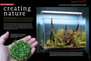 Steve Waldron's "Creating Nature" series returns with the second installment; Implementation.