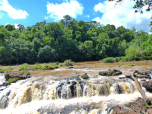 Type locality of Trichomycterus ytororo; Tabay waterfalls, Tabay stream, Jardín América, Misiones, Argentina. CC BY 4.0