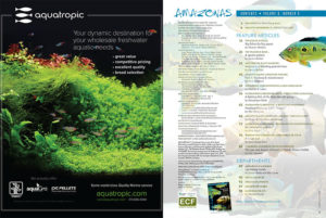 The Table of Contents: a first look at the diverse content and in-depth features in this issue. Read the TOC online here.