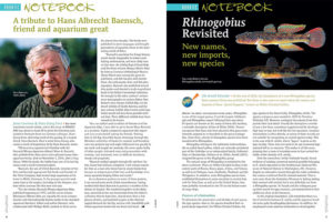A remembrance of the life of Hans Albrecht Baensch, and an update to Rhinogobius, are two of the stories leading of the Aquatic Notebook.