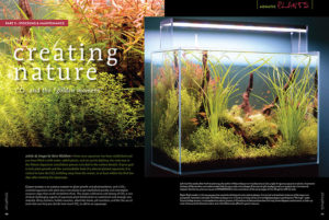 In our continuing planted aquarium & aquascaping series, Creating Nature, Aquarium Zen's Steve Waldron discusses the application of CO2 and the "golden moment" in planted tank keeping.