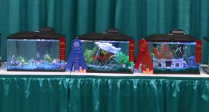 Entries and winners in the 2016 Aquatic Experience - Chicago Kid's Aquarium Contest. Image - Matt Pedersen