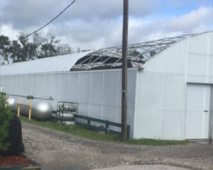 "We were very lucky." - Nautilus Tropical Fish Wholesale