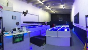 Hydra Aquatics, post Hurricane Irma, ready to return to normal.