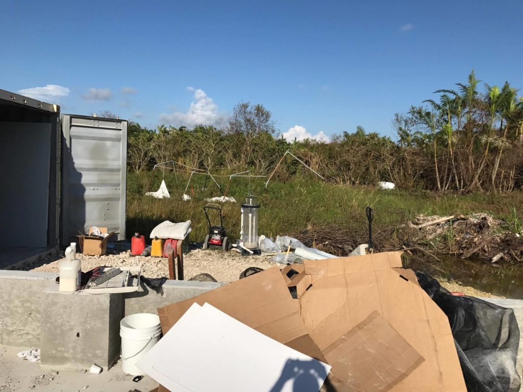 Debris cleanup is definitely in store at Marco Rocks.