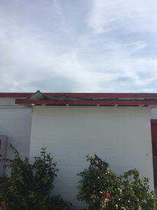 Minor wind damage to a roof at Segrest Farms