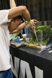 Veteran and amateur aquascapers will vie for the top honors once again at the Aquascaping Live! contest held each year at the Aquatic Experience - Chicago.