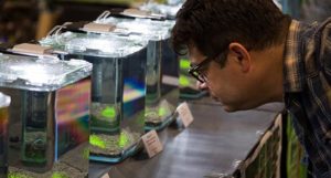 Guests inspect tanks containing strong competitive offerings of freshwater ornamental shrimp at the Aquatic Experience 2016.