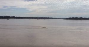 The Rio Orinoco is running high and muddy; hardly ideal for fish collection.