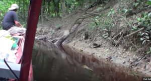 Hernando Gil rides the bow of the team's river boat, scouting for submerged logs that could damage the boat's motor.