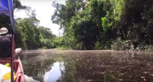 Ideal habitat, but will it produce fish?