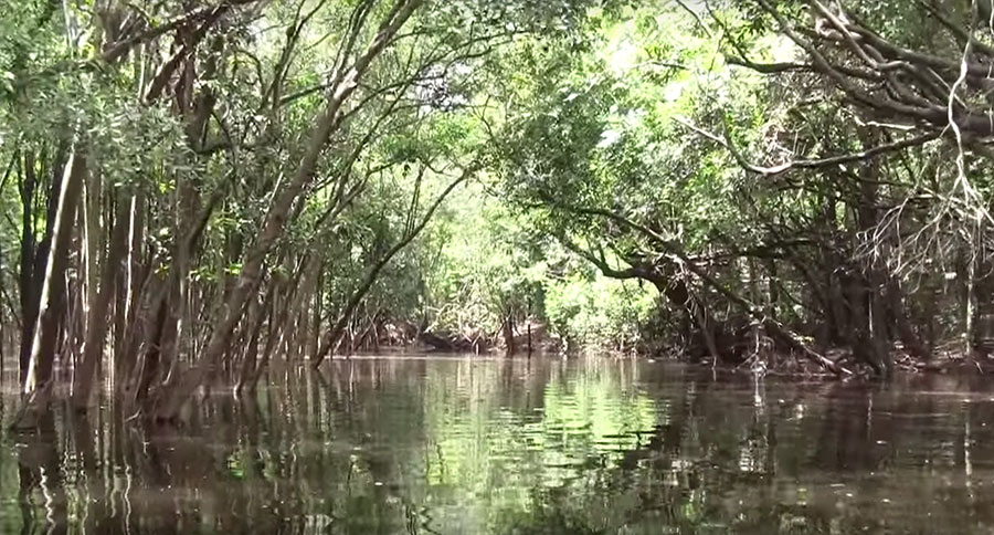 VIDEO: Ted Judy’s 2016 Colombia Expedition, Ep. 15