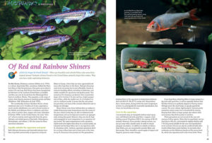 Enthusiasts of North American native fishes get a double helping of Shiner appreciation with Frank Strozyk’s article “Of Red and Rainbow Shiners.” Experience these worthy aquarium residents in the pages of our new issue.