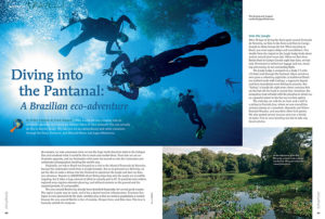 Who wouldn’t love jumping into an oversized aquarium and seeing his or her favorite fishes in their element? You can actually do this in Bonito, Brazil. Dive the Pantanal with Volker Vierecke and Frank Rossow in the new issue of AMAZONAS.