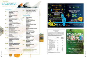 These events are not to be missed! Discover what’s happening in the aquarium world through our print and online Aquarium Calendars. Have an event coming up? Send Janine Banks an email so we can let your fellow AMAZONAS readers know about it.