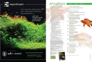 Our Table of Contents: your guide to rich content and exciting features from expert contributors, all found in this issue. Read the TOC online here.