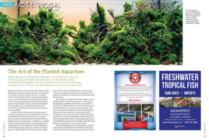 For the second year running, the “World of the Aquarium Hobby” fascinated visitors at the Tierwelt-Messe (Animal- World Exhibition) in Magdeburg, Germany. A highlight of the event was the aquascaping competition known as “The Art of the Planted Aquarium,” returning after a two-year break. Hans-Georg Evers reports.
