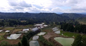 A soaring view of Fukasawa Koi Farm, nestled among the rolling green hills of Niigata.