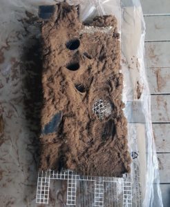 The foundation for the back wall of the vivarium, now foamed and covered to create a natural backdrop while concealing the air circulation system and drainage for the pots.