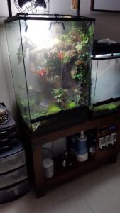 Shrouded in clouds: the main purpose of the cool-mist humidifiers is actually to cool the internal temperatures of the vivariums.