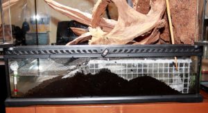 Another look at the false bottom and water level.