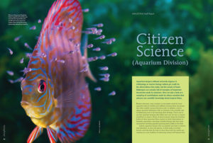 CITIZEN SCIENCE (Aquarium Division): Aquarium keepers without university degrees in ichthyology or marine biology seldom get credit for the observations they make, but the annals of home Aquarium keepers without university degrees in ichthyology or marine biology seldom get credit for the observations they make, but the annals of home fishkeepers are actually full of examples of important discoveries made by amateurs.