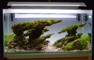 The entry fielded by John Pini, Marvin Lo, Vang Thao, Scott Miller, and William Romero, took 2nd place.