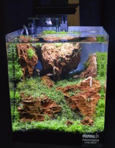 Aquascape by Alex Wenchal
