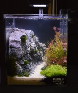 Aquascape by Nathan Reeverts