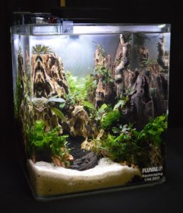 Aquascape by Wojciech Puzniak